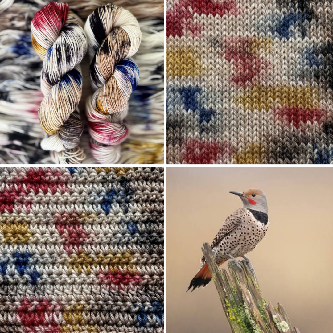Northern Flicker