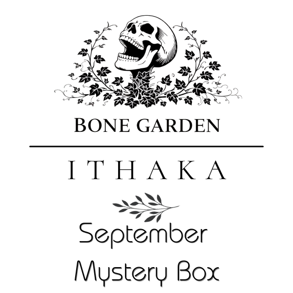 September Mystery Box