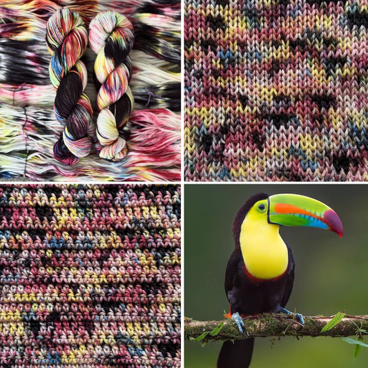 Keel-Billed Toucan